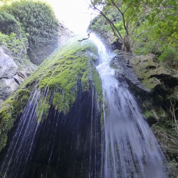 Excursion 6 Sitia - Vai - Richti Canyon